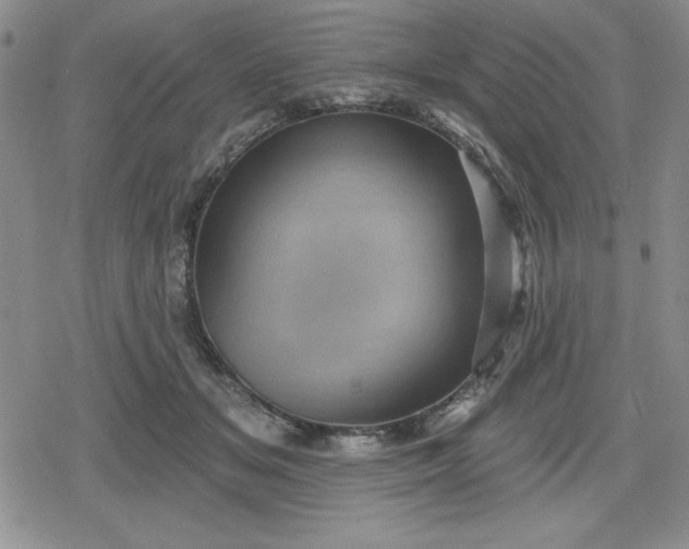 X0000080180509200612221319