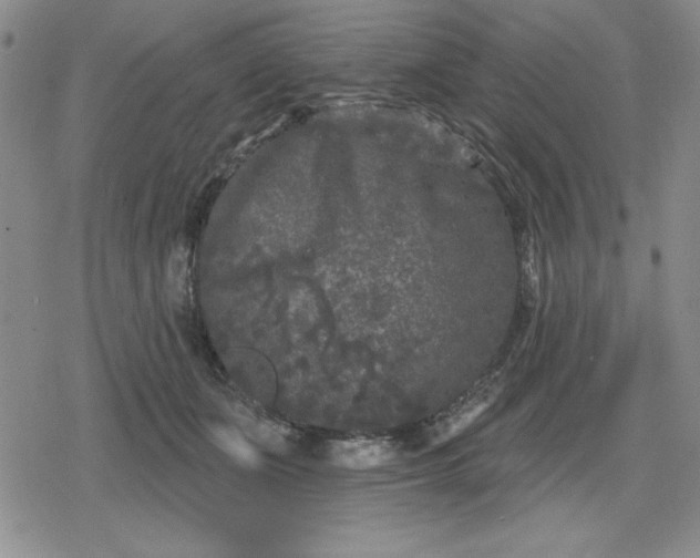 X0000080180511200612221319