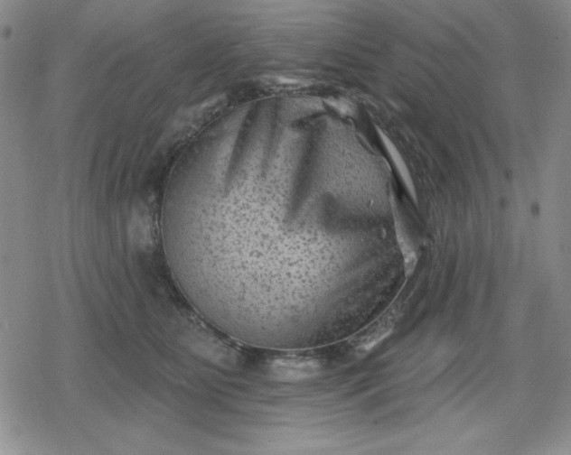 X0000080180515200612221319