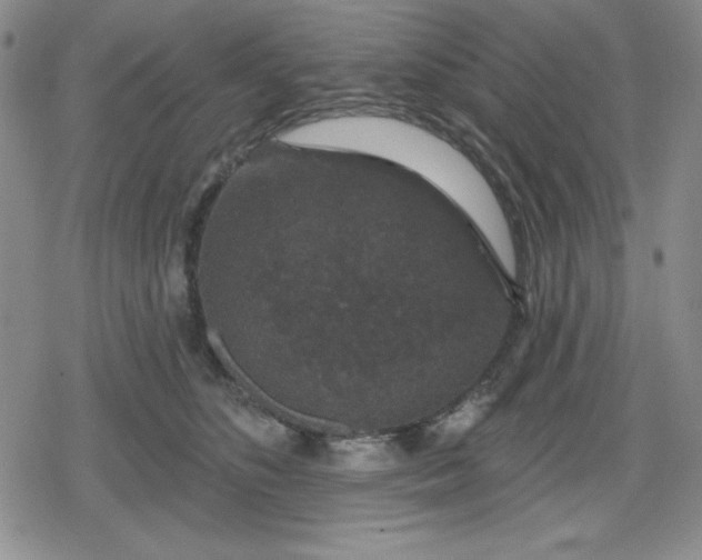 X0000080180516200612221319