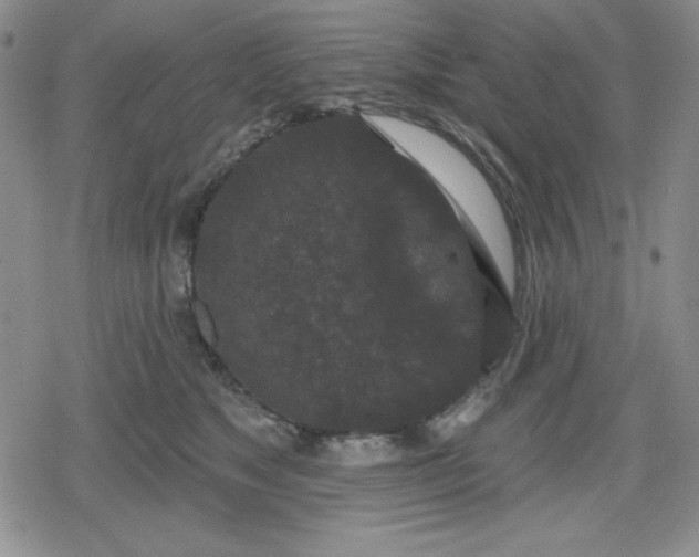 X0000080180517200612221319