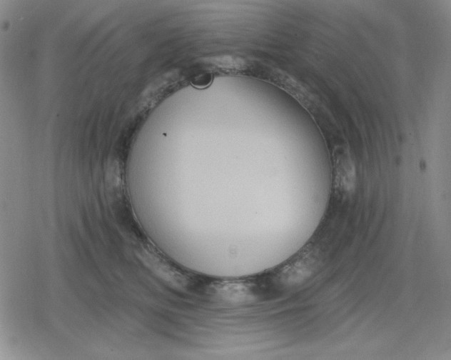 X0000080180518200612221319