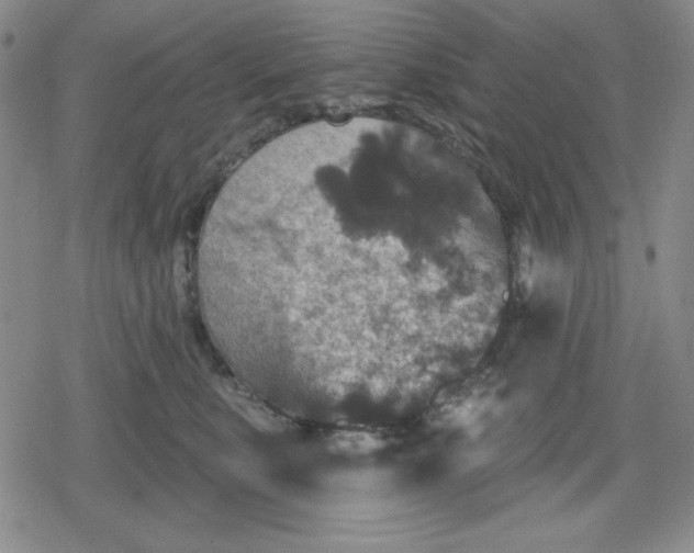 X0000080180519200612221319