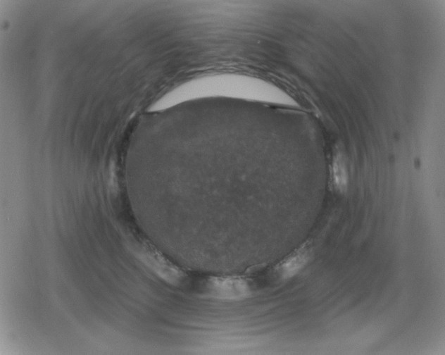 X0000080180520200612221319