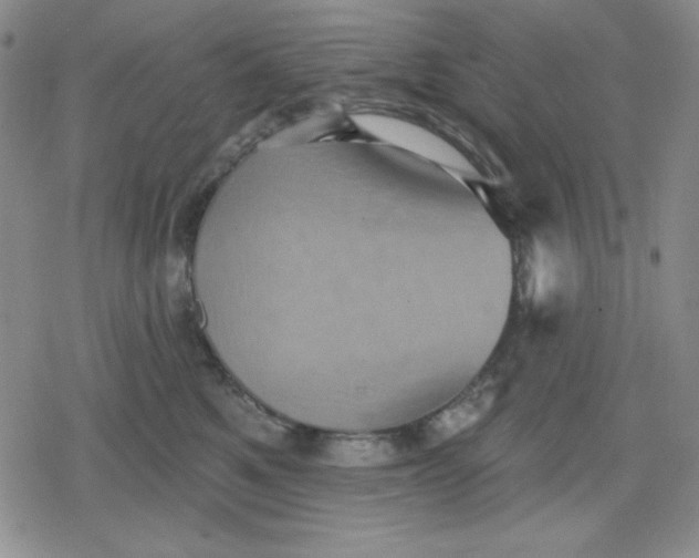 X0000080180521200612221319