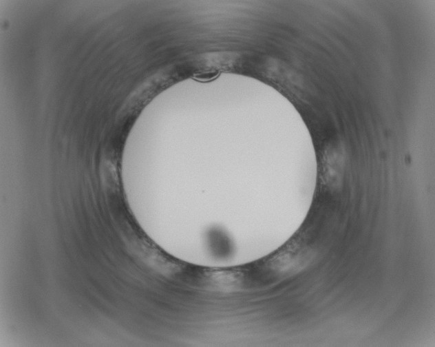 X0000080180522200612221319