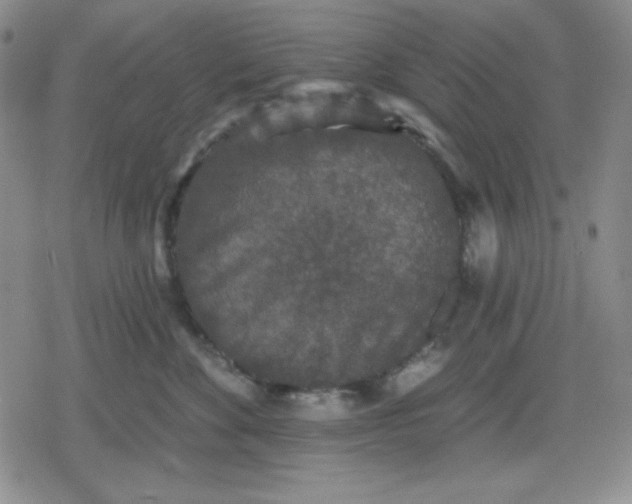 X0000080180524200612221319