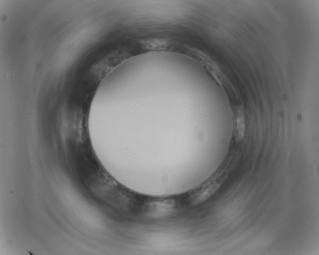 X0000080180525200612221319