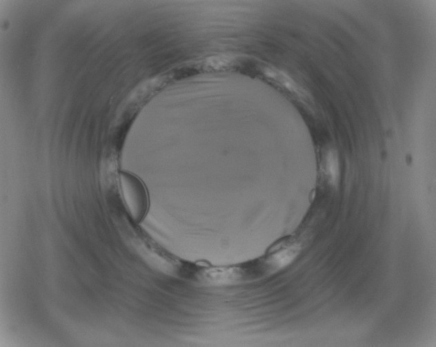 X0000080180526200612221319