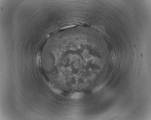 X0000080180527200612221319