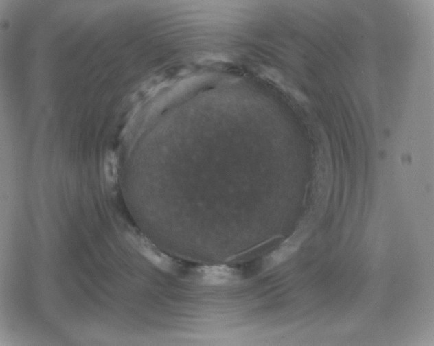 X0000080180528200612221319