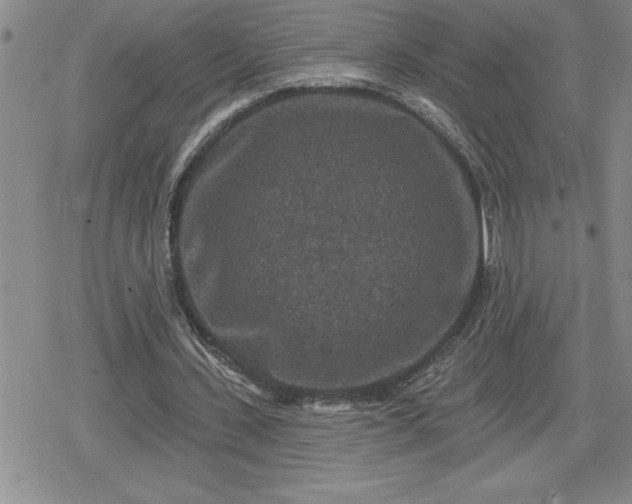 X0000080180531200612221318