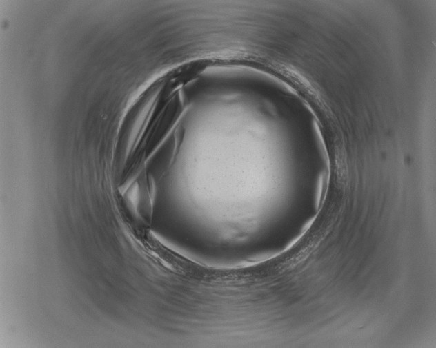 X0000080180532200612221318