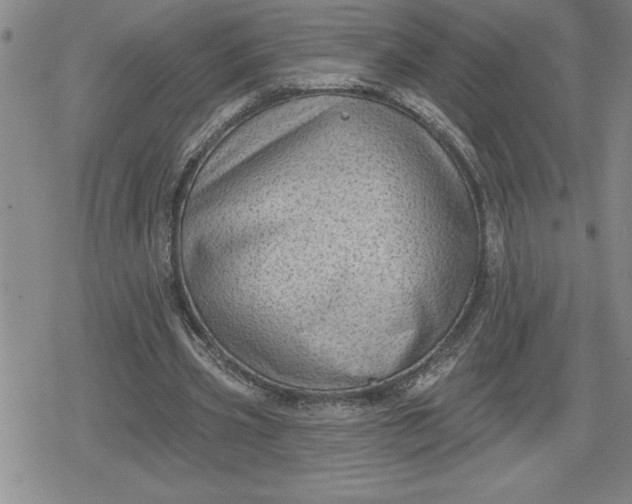 X0000080180533200612221318