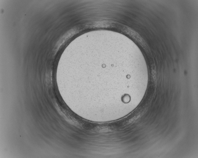 X0000080180534200612221318