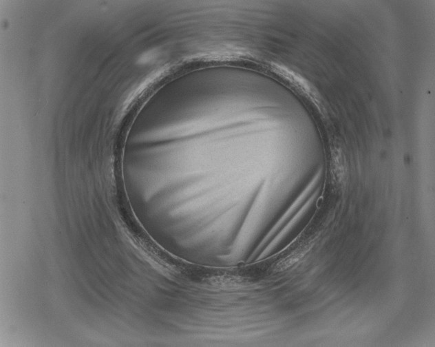 X0000080180535200612221318