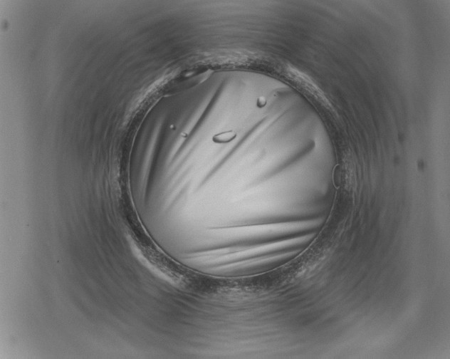 X0000080180538200612221318