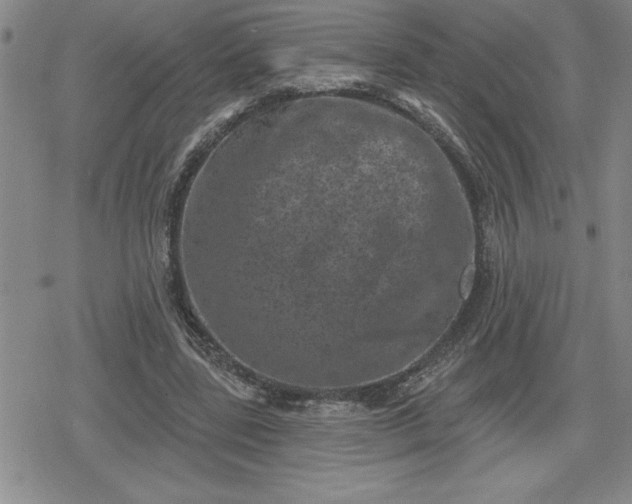 X0000080180539200612221318