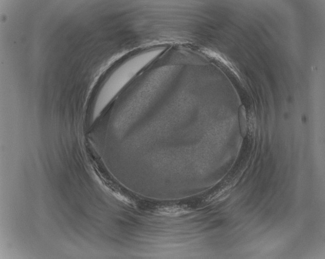 X0000080180540200612221318