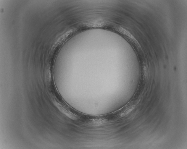 X0000080180541200612221318