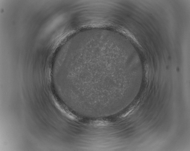 X0000080180542200612221318