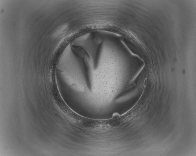 X0000080180543200612221318