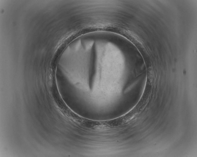 X0000080180544200612221318