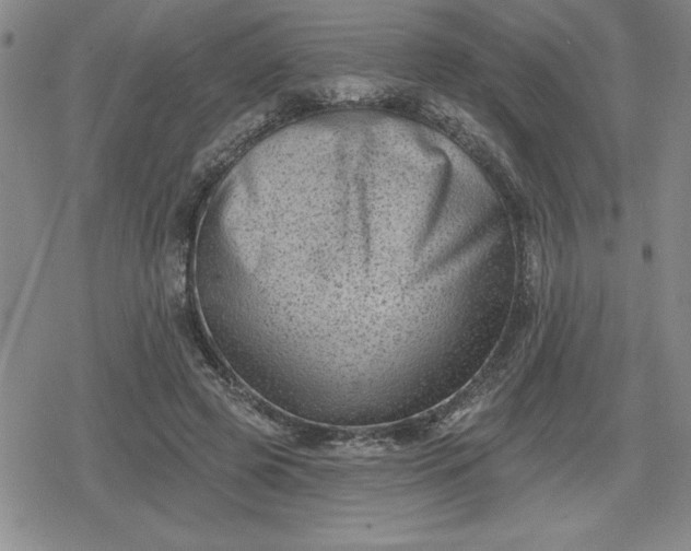 X0000080180545200612221318