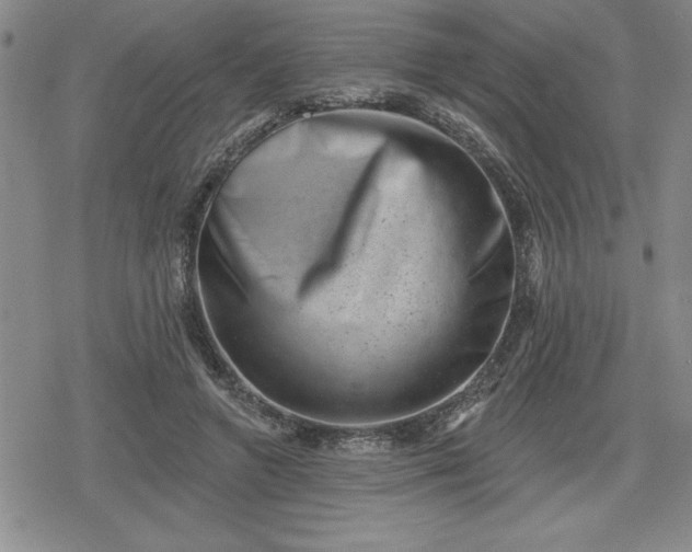 X0000080180546200612221318