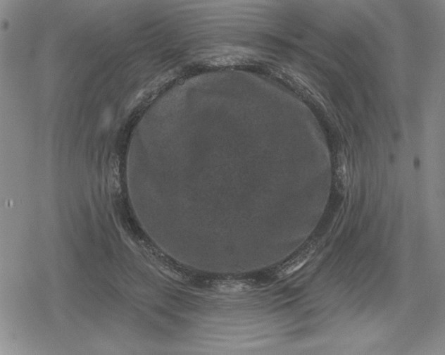 X0000080180547200612221318