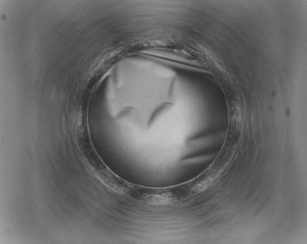 X0000080180548200612221318