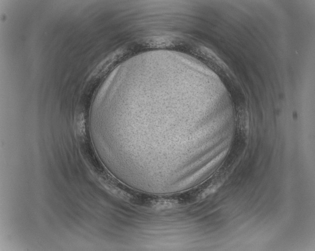 X0000080180549200612221318