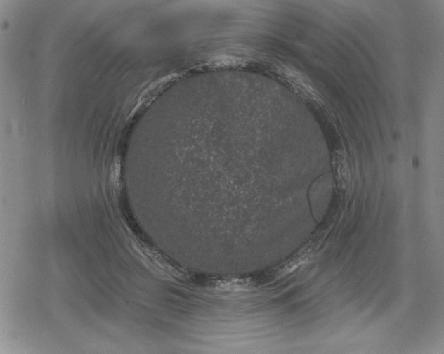 X0000080180550200612221318