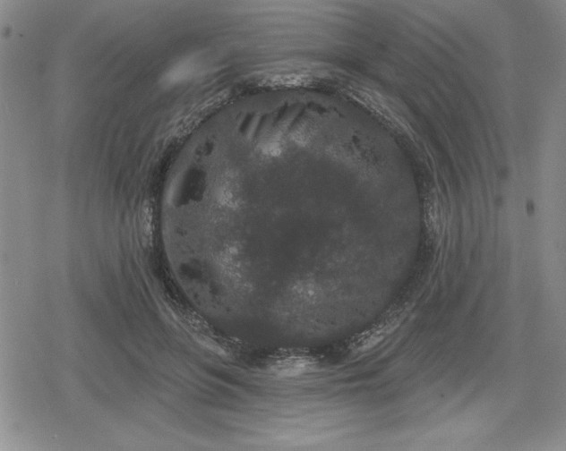 X0000080180551200612221318