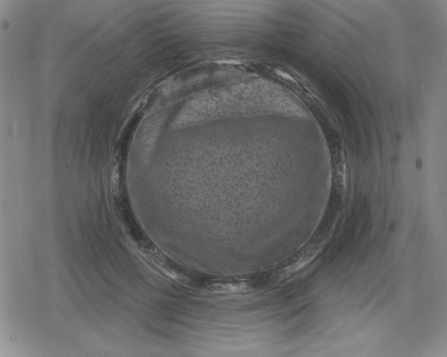 X0000080180552200612221318