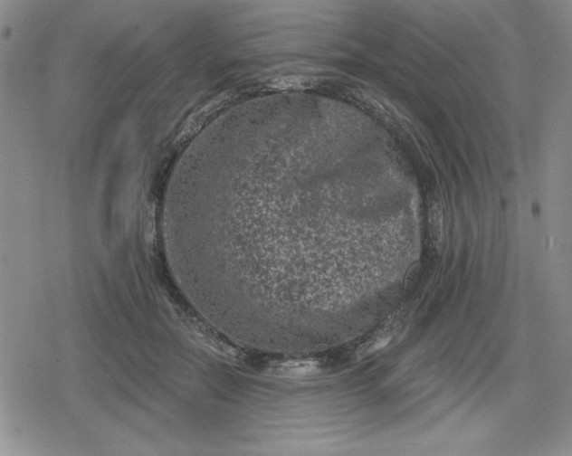 X0000080180554200612221318