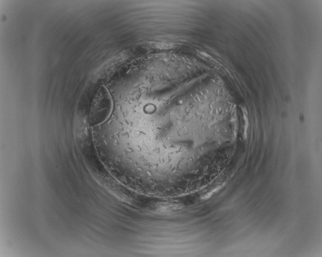 X0000080180555200612221318