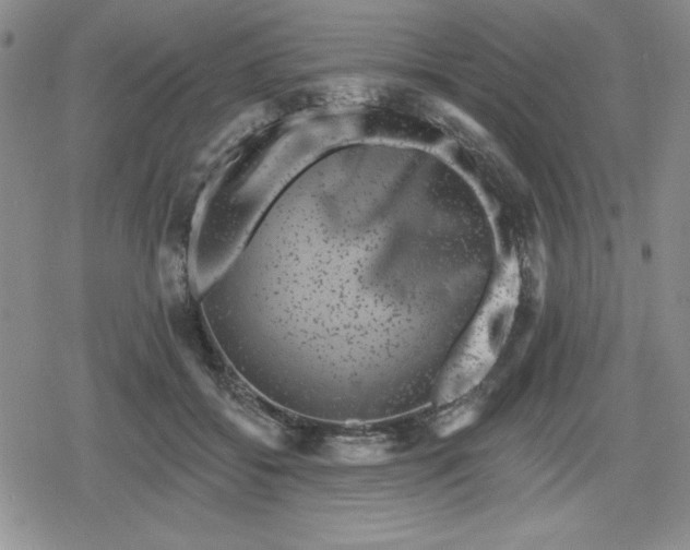 X0000080180556200612221318