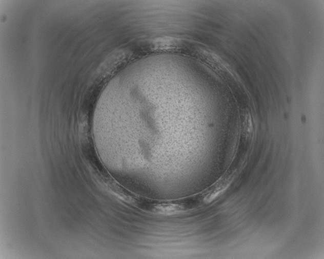 X0000080180557200612221318