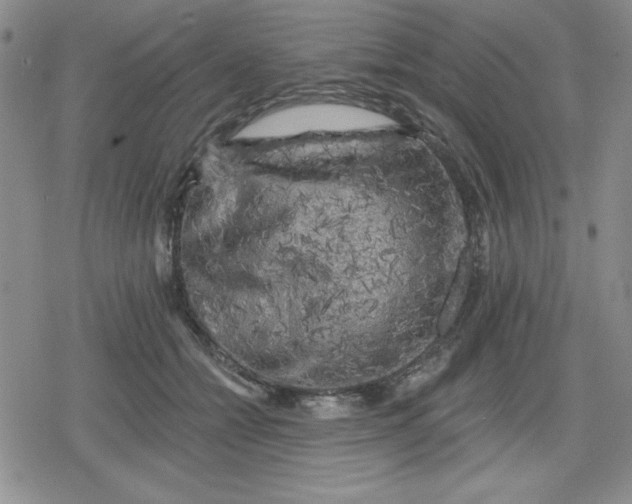 X0000080180558200612221318