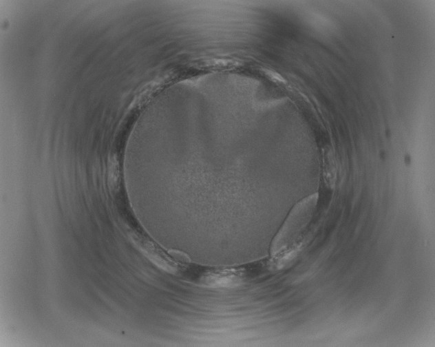 X0000080180563200612221318