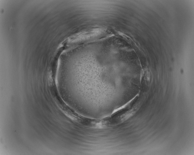 X0000080180564200612221318