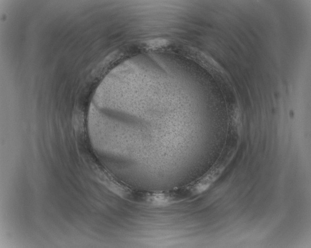 X0000080180565200612221319