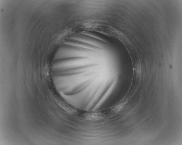 X0000080180567200612221319