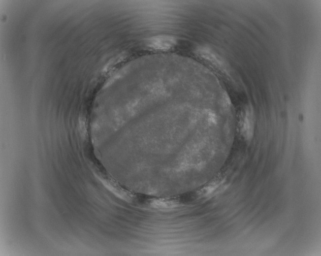 X0000080180568200612221319