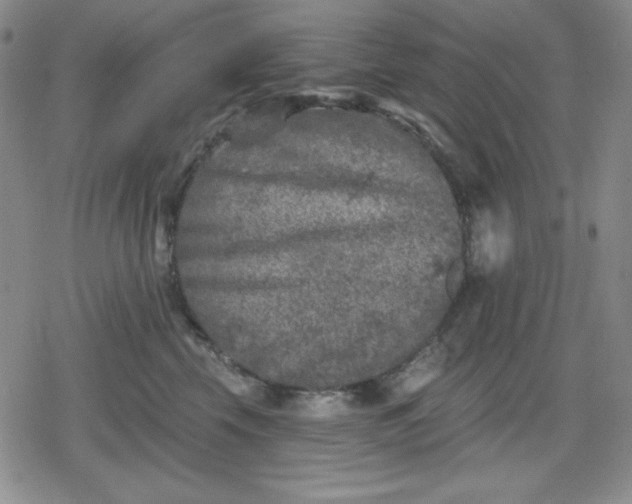 X0000080180569200612221319