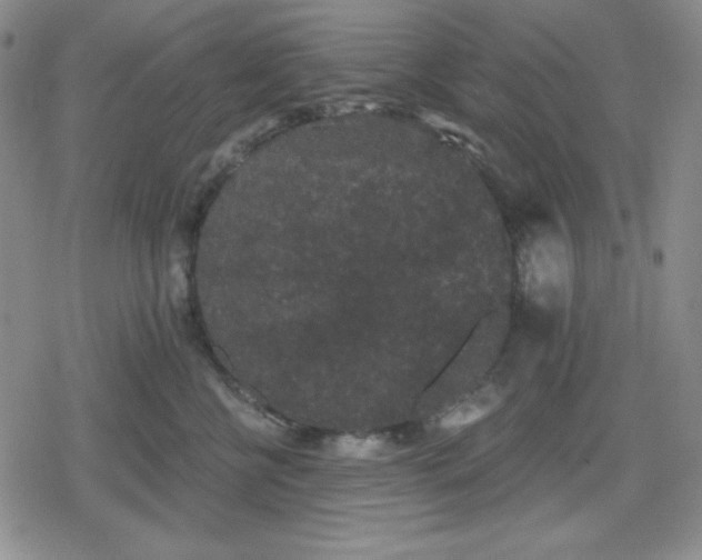 X0000080180570200612221319