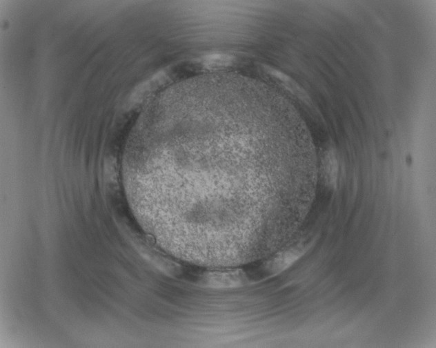 X0000080180571200612221319