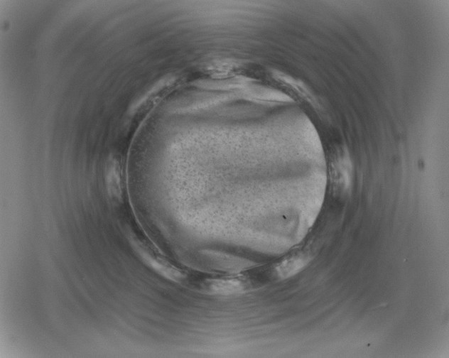 X0000080180572200612221319