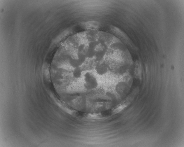 X0000080180573200612221319